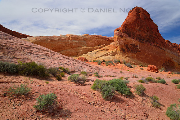 Nature's Colorful Palette, Valley of Fire, Nevada (NV)  near Las Vegas