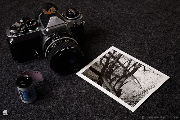 Camera, Film, Print