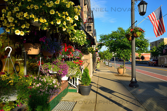 Hess Brothers Florist at Sunrise, Hamburg, New York (NY)