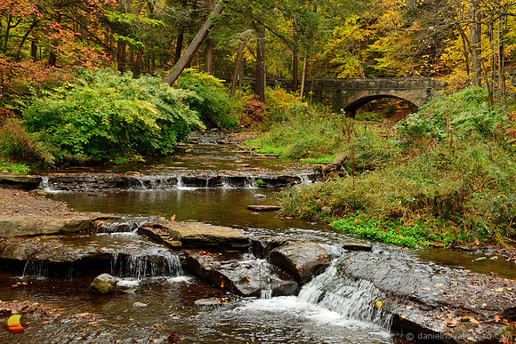 Bridge over Wolf Creek