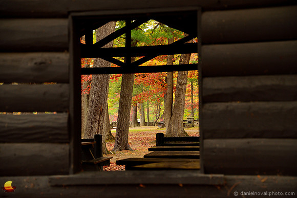 Fall Window