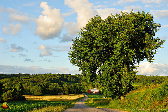 Countryside at Sunset