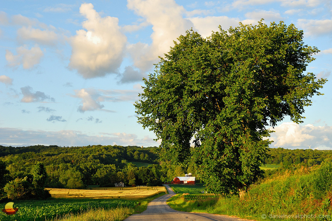 Rural Countryside at Sunset, Western New York