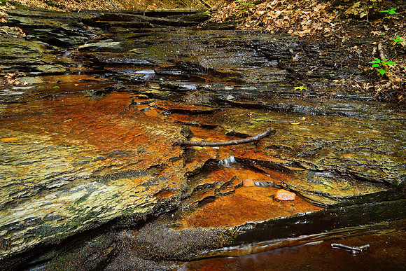 Creek and Ravine Colors, Chestnut Ridge, Orchard Park, NY (near Buffalo)