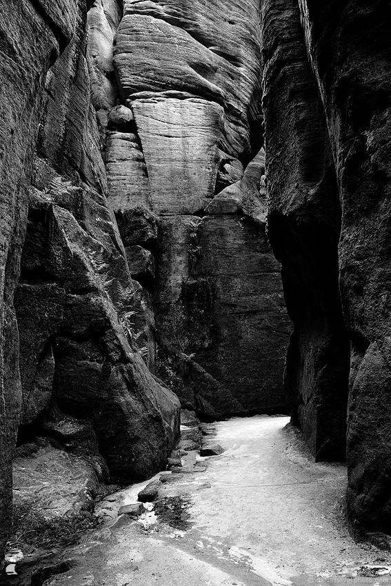 Teplické skály, Rock City, Czech Republic
