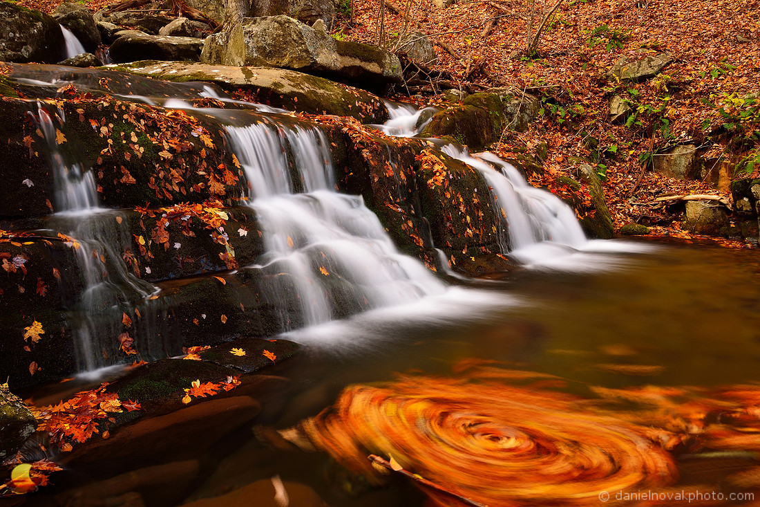Swirl under the Fall, Shenandoah National Park, Virginia in the Fall / Autumn