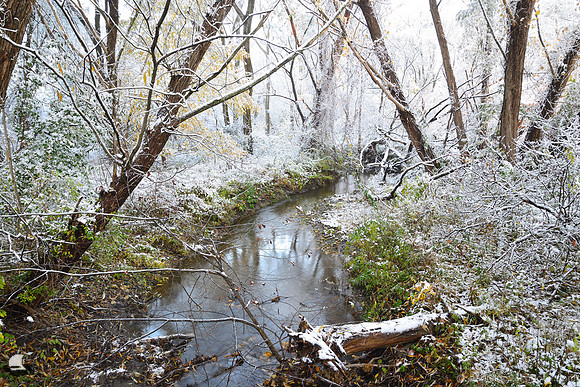 Fall vs Winter along the Creek