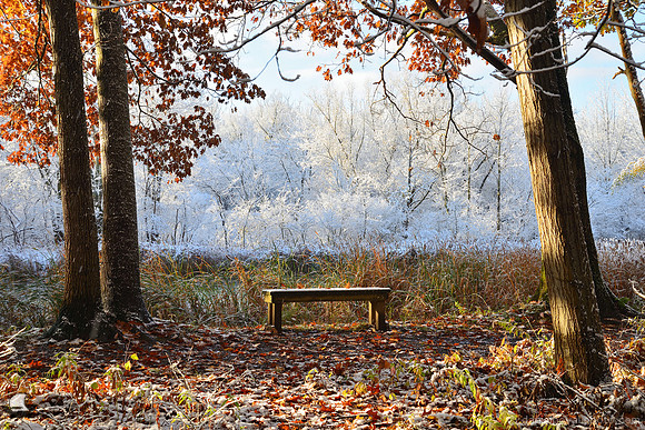 The Birdsong Bench, Two Seasons