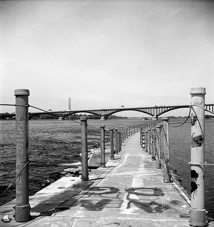 On Bird Island Pier