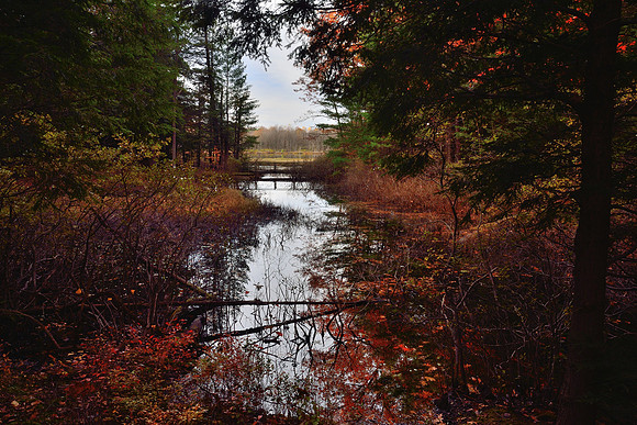 Moss Lake Colors of the Fall / Autumn, Western New York