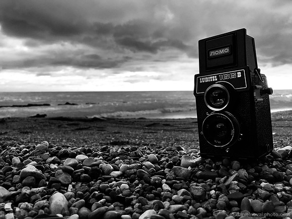 Lubitel 166B
