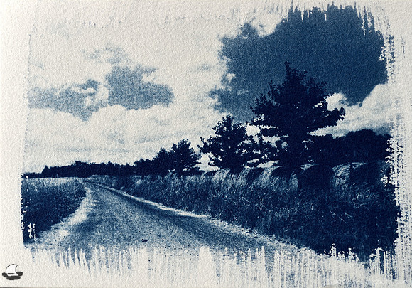 Highland Hay Bales Cyanotype