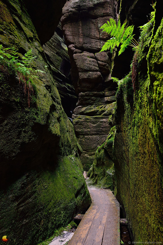 Squeezed Between Rocks, Rock City of Teplice Rocks, Czech Republic