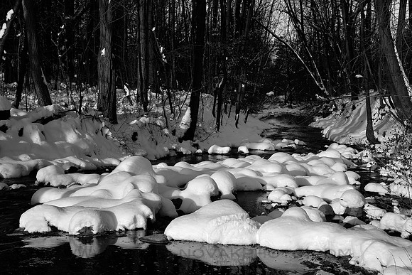 Puffed Up Smoke Creek