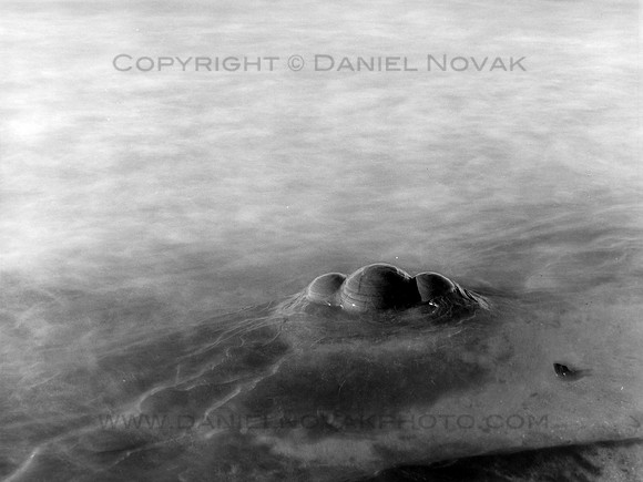 Film Photography: Triple Dome Rock, Black and White Long Exposure of Lake Erie Lakeshore near Buffalo, NY