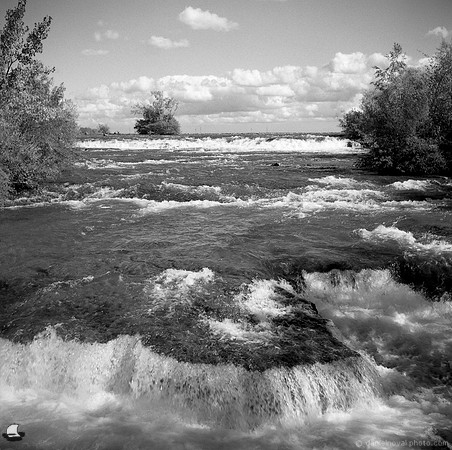Rushing Down to the Falls