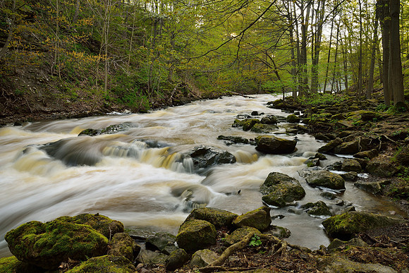 Spring under Akron Falls near Buffalo, NY