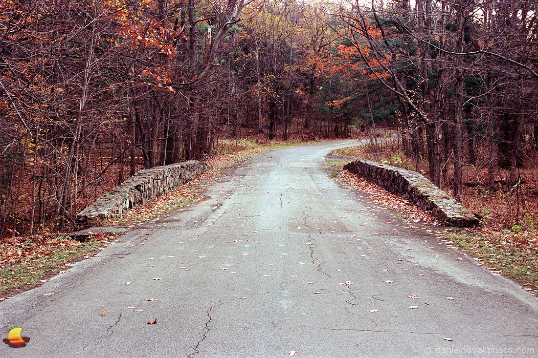Bridge across Bubbly Waters, Chestnut Ridge Park, Orchard Park, New York