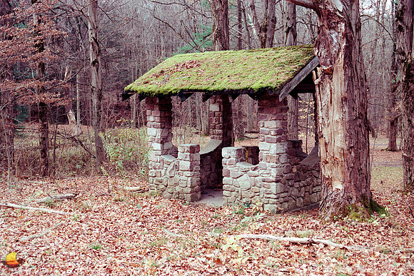 The Lost Mossy Well House
