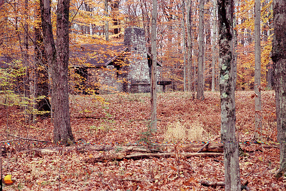 Shelter and Grill in the Woods