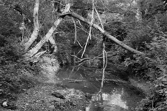 Birdsong Creek Gate