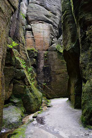 Fairy Tale Trail