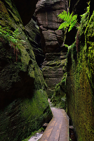 Squeezed Between Rocks