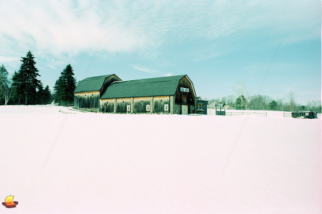 Color of Wood, Cross-processed Velvia 50 (xpro)