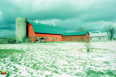 Rural Colors, Cross-processed Velvia 50 (xpro)