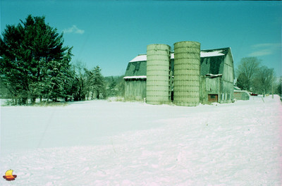 Barn & Silos in White, Cross-processed Velvia 50