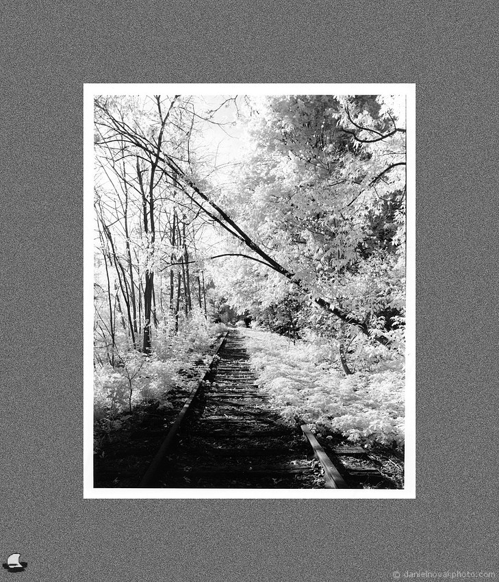 From the Darkroom: Railroad Bridge in Infrared