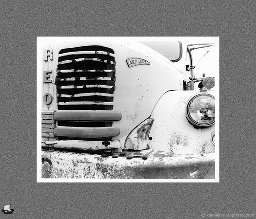 REO Gold Comet 8x10