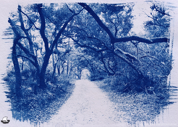 Bon Secour Alley, Cyanotype