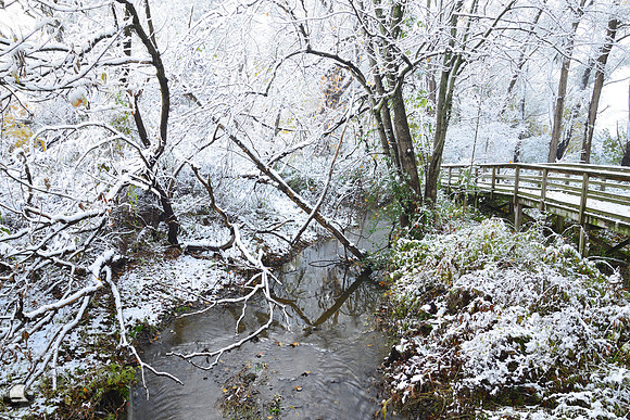 Fall vs. Winter along the Boardwalk, Birdsong Park, Orchard Park, NY, Fall and Winter Battling it Out..