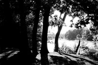 Moody Morning at Green Lake, Yates Park, Orchard Park, New York, photographed with a 35mm Nikon F4 camera on Kodak Double-X 5222 black and white film.