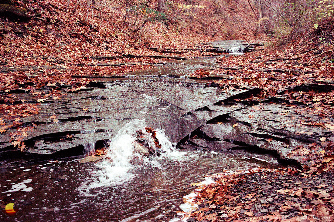 Bubbly Waters, Chestnut Ridge Park, Orchard Park, New York