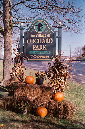 Welcome! The Village of Orchard Park