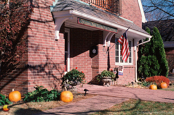 Pumpkins at the Chamber of Commerce