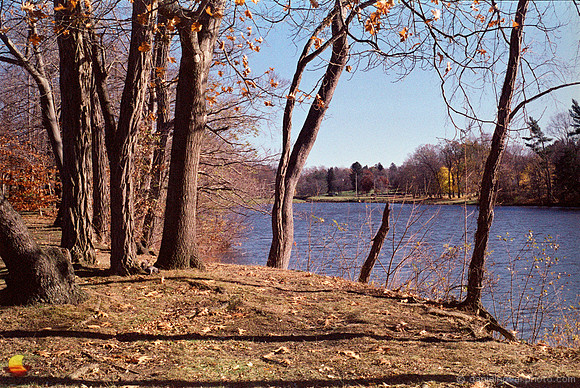 Remnants of Fall at Green Lake