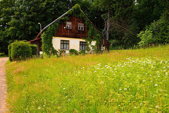 Traditional Czech Cottage in a Meadow, Jirásek Rocks, Czech Republic