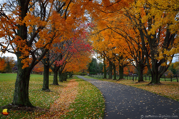Knox Farm Alley in the Fall