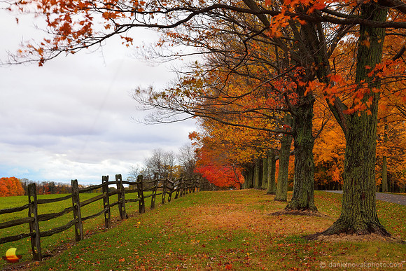Fall Colors at Knox Farm