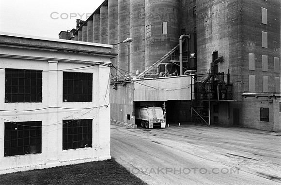 Loading a Truck at Standard Grain Elevator, Buffalo, New York (NY)