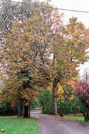Road through Knox Farm State Park