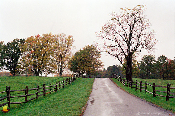 Between the Fences