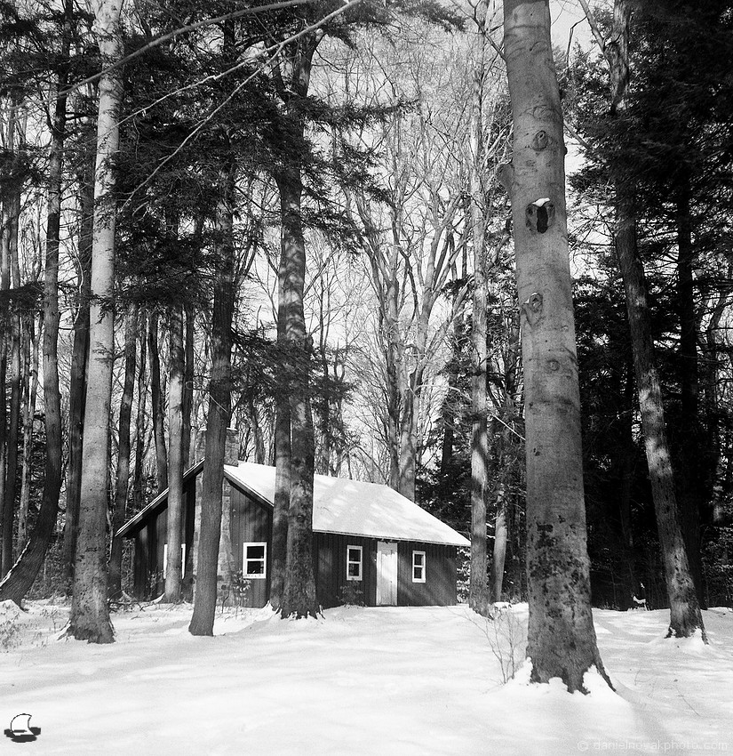 Cottage in Winter Woods, Chestnut Ridge Park, Photographed on film: Flexaret V TLR, Fomapan 400