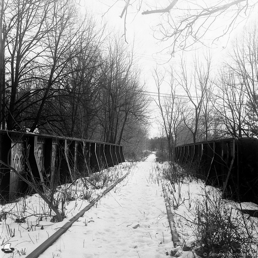Waiting for the Express Train, Orchard Park, NY, Photographed on film: Flexaret V TLR, Fomapan 400
