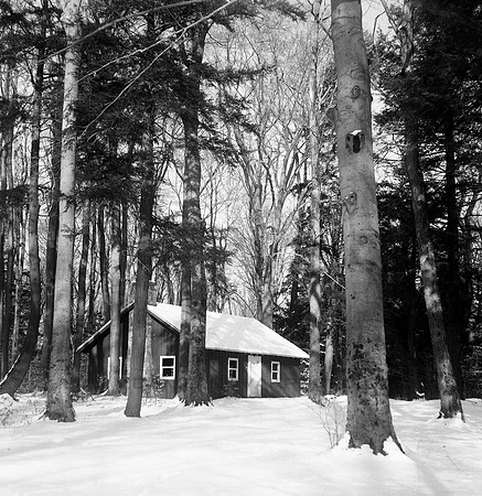 Cottage in Winter Woods, Chestnut Ridge Park, Orchard Park near Buffalo, NY
