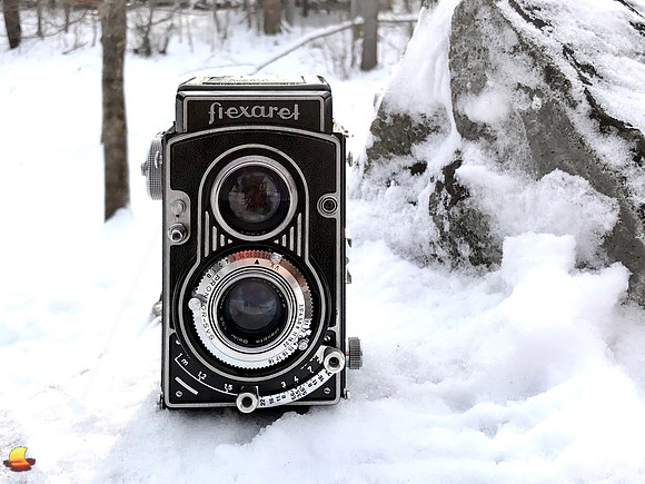 Flexaret V in Snow