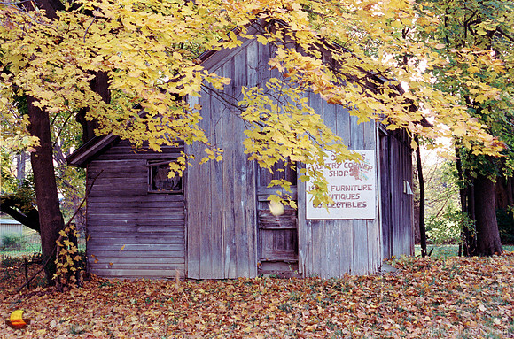 Old Shed